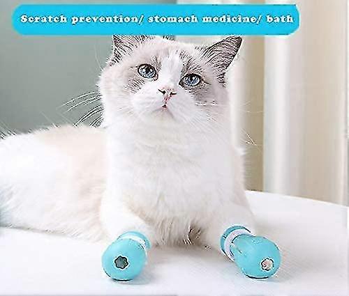 Chaussure chats, bottes de pied de chat anti-rayures, protection