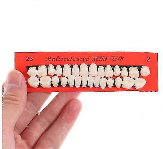 Set Of 28 Universal Resi Denture Resin Models