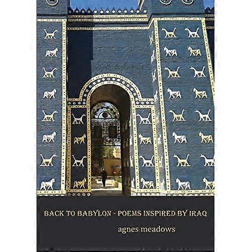 Back to Babylon: Poems Inspired by Iraq
