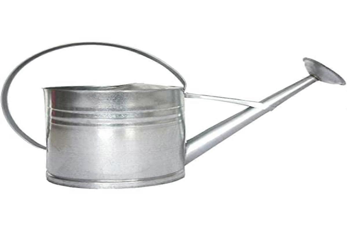 Large Zinc Watering Can Grey