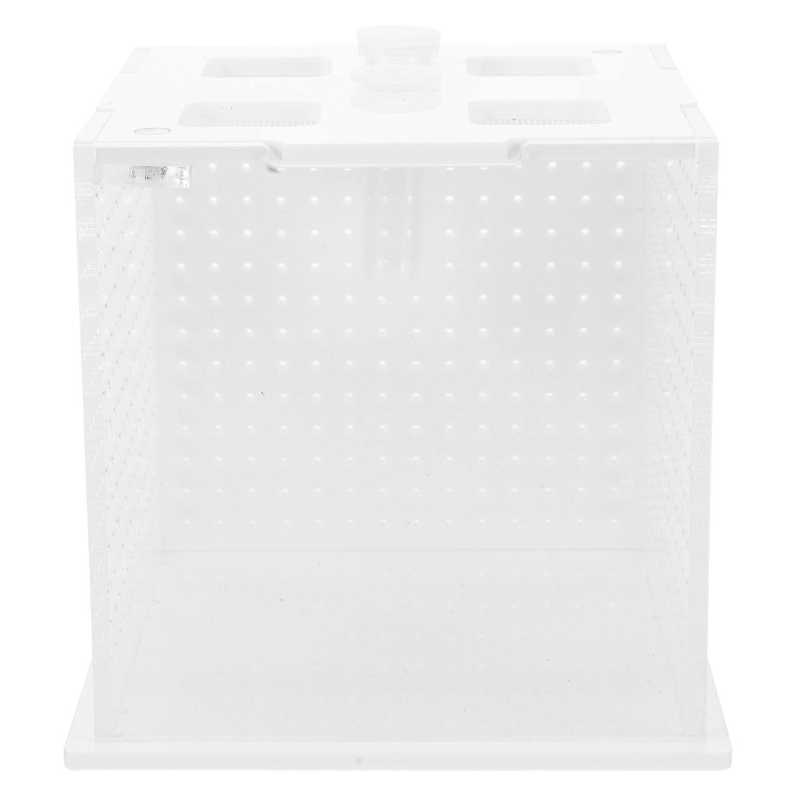 Durable Transparent Reptile Breeding Box for Jumping Spiders, Mantises, and Stick Insects – Educational Habitat for Life Cycle Observation