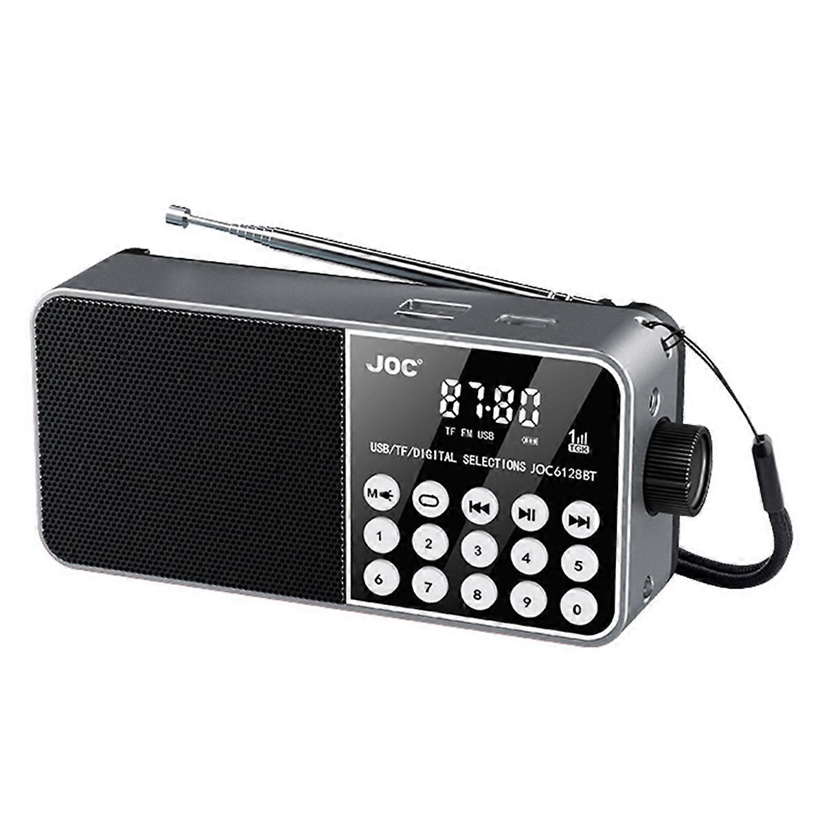 Portable Radio Speaker Support TF Card Digital FM Radio Grey