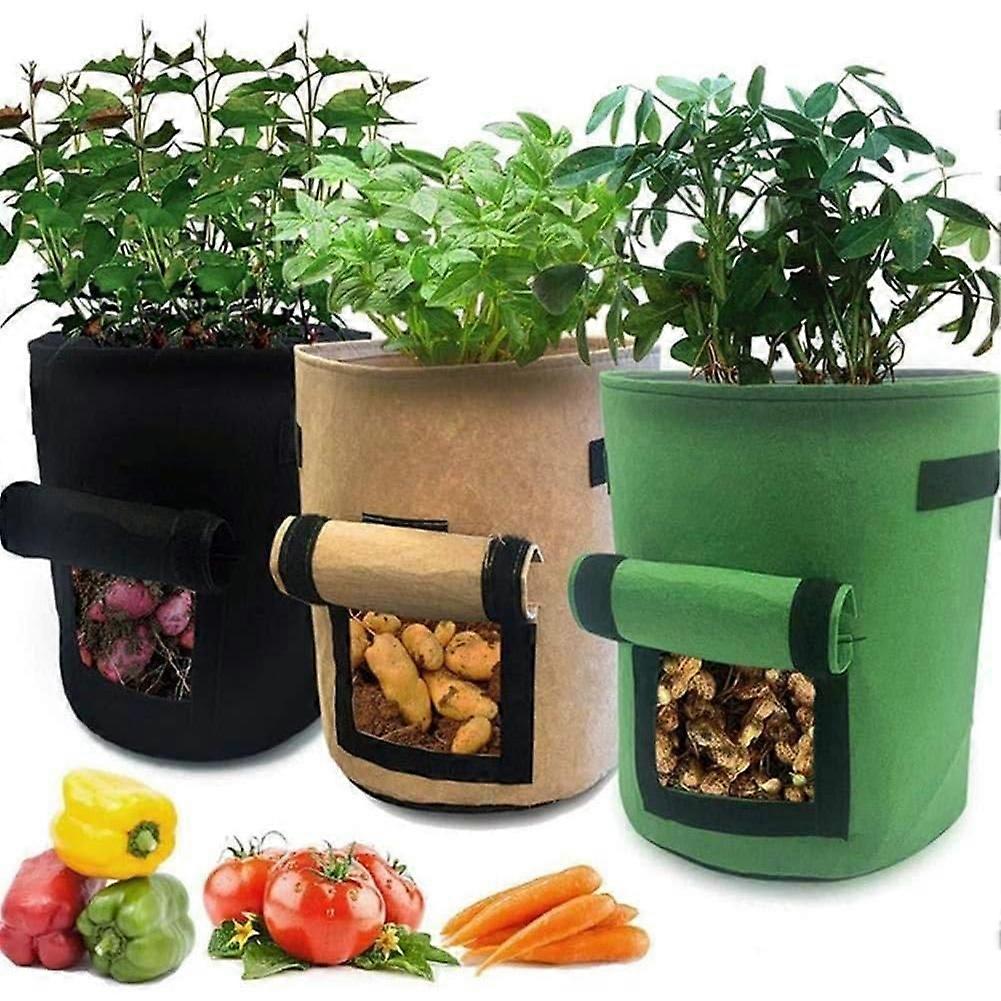 Soil Grow Bags, Set of 3, Ideal for Tomatoes, Carrots, and Other Vegetables with Convenient Handles