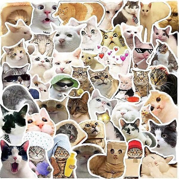 Cat stickers, 50 pieces, can decorate multiple items