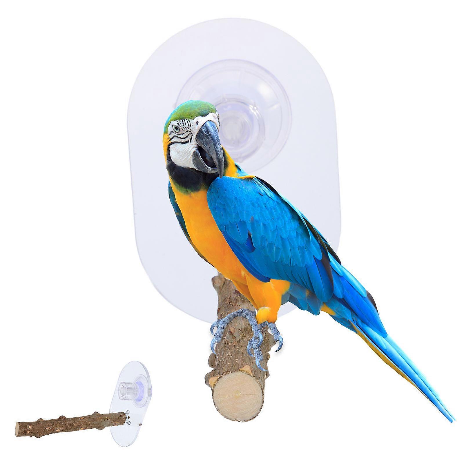 Paw Grinding Stick Parrot Suction Perch Portable Stand Acrylic Material 6.0×4.7×3.1in 1Pcs