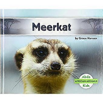 Meerkat (Afrikaanse dieren)