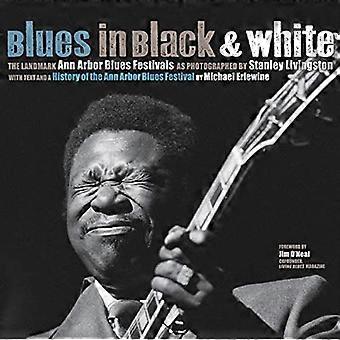 Blues en noir et blanc : le Landmark Ann Arbor Blues Festivals