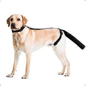 Adjustable Dog Tail Protector for Wounds, Tail Cover Recovery Sleeve for Medium and Large Dogs, Anti Licking(M,Black)