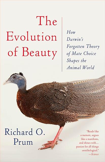Evolution Of Beauty - Richard O. Prum - Evolution - Random House USA Inc - Paperback