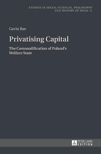 Privatising Capital by Gavin Rae Hardback Book