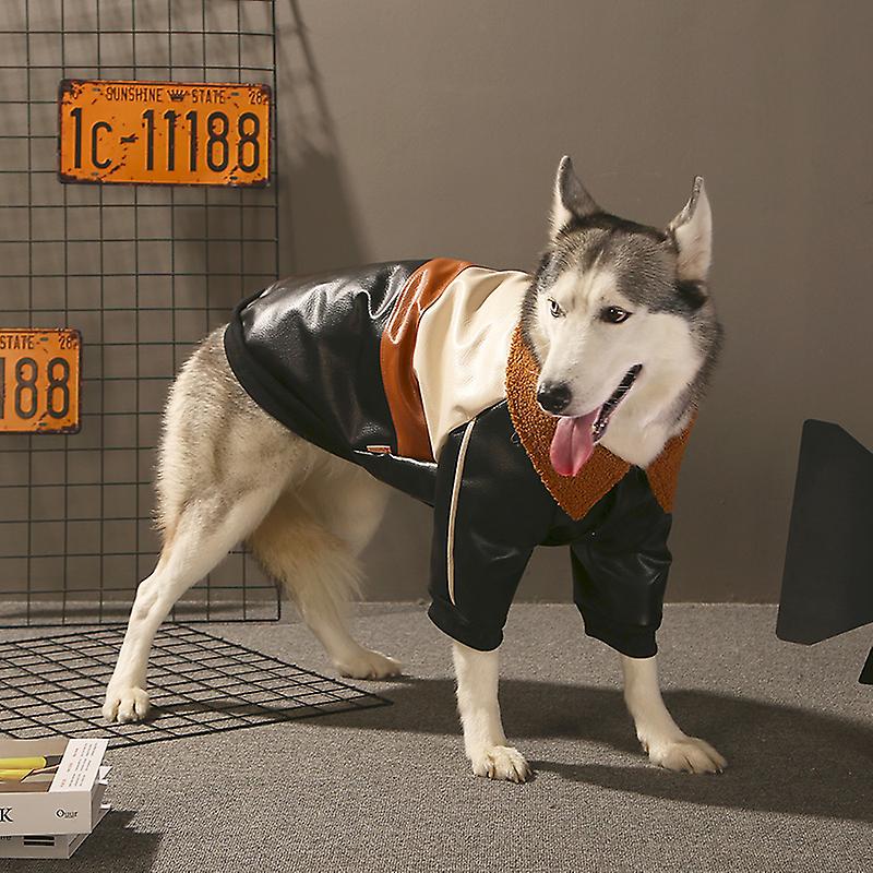 cool dog jackets