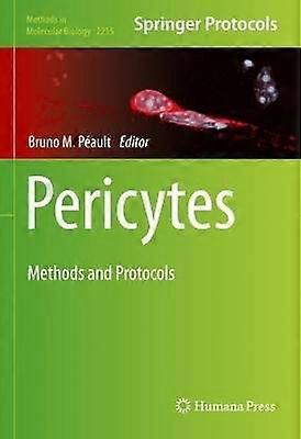 Pericytes