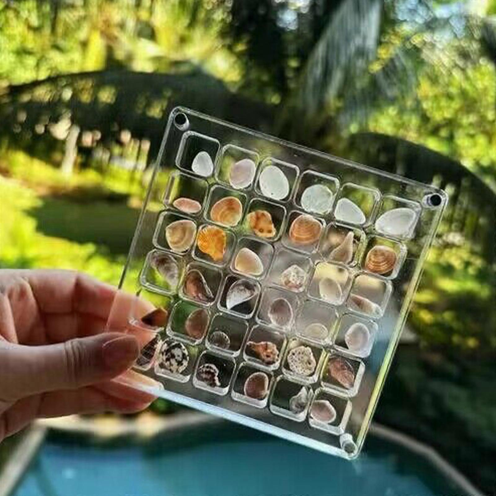 Delicate Acrylic Display Holder Presentation Box with Removable Lid for Shell Display Practical Shell Storage Case