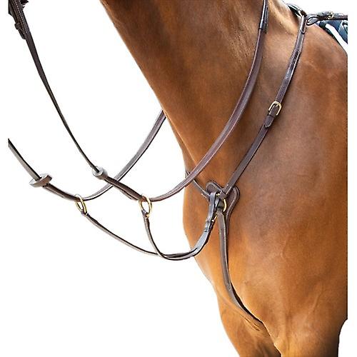 Cuir Salisbury Cuir Cuir Cuir Cuir Cuir