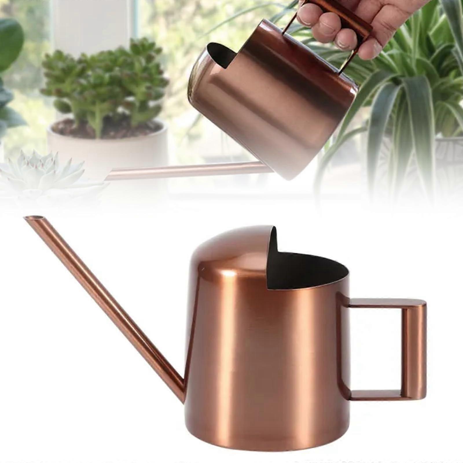 Watering Can for Indoor Plants 300ml - Mini Watering