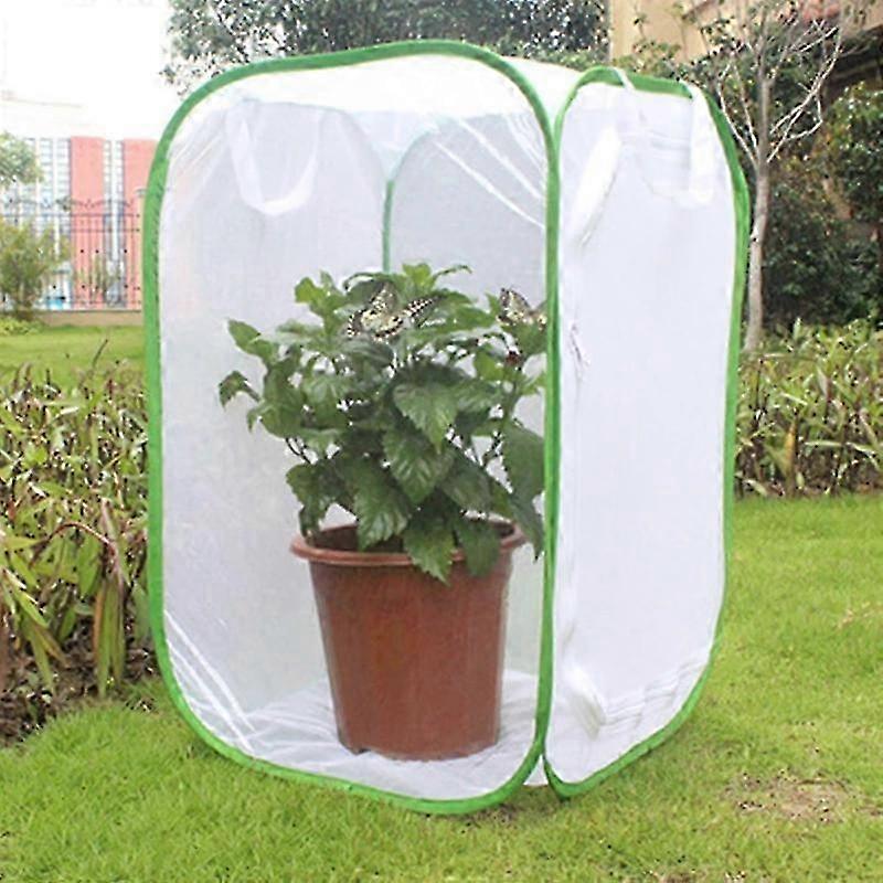 Collapsible Insect Cage with Mesh for Breeding Butterflies and Mantises, Zipper Net Cloth Habitat