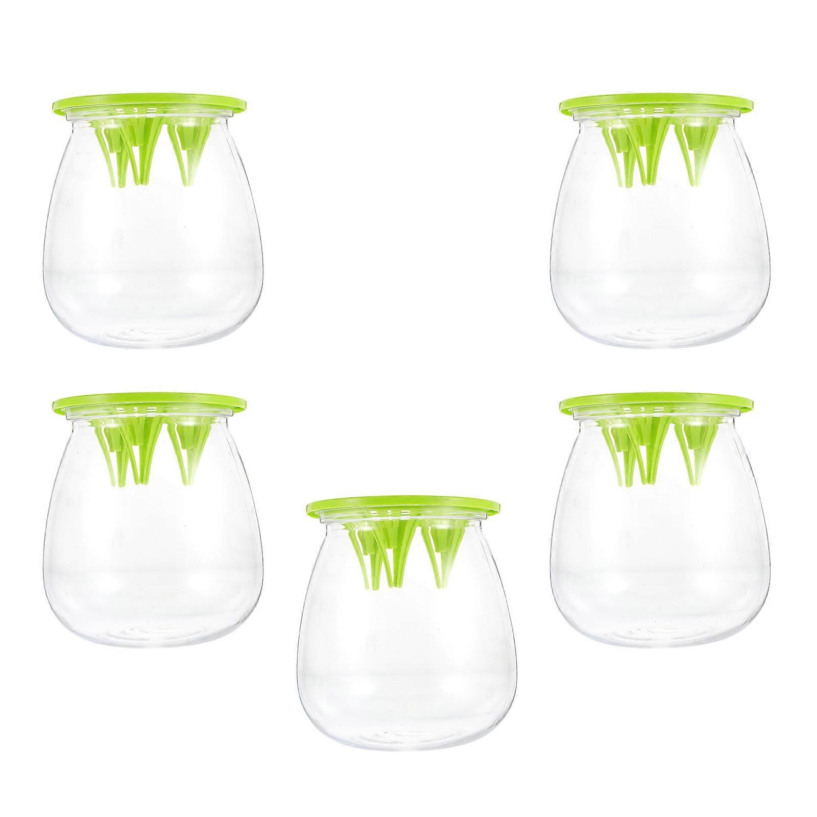 Hydroponic Flower Pot 5Pcs Transparent Plastic Versatile Usage Hydroponic Vase for Home Use