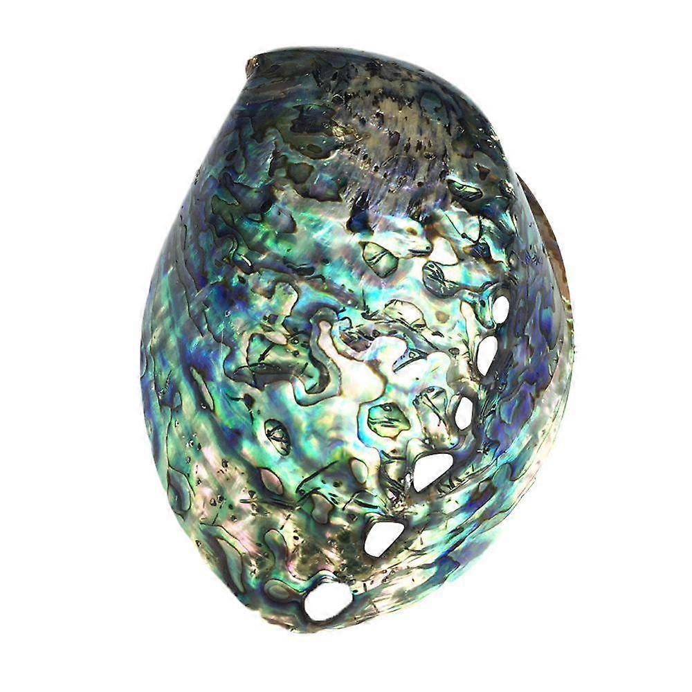 9-12cm Big Rainbow Abalone Shell Charm Beach Shell Car Office Home Decoration Natural Shell Beautiful Colorful Sea