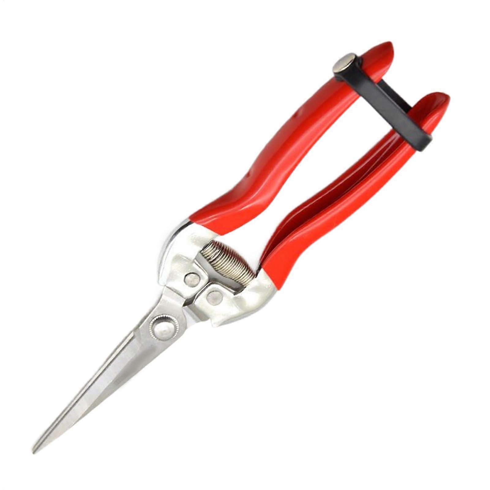 Garden Shears Stainless Steel Scissors for Bonsai, Roses, and Fruit Trees - Pruning Tool for Citrus and Vines