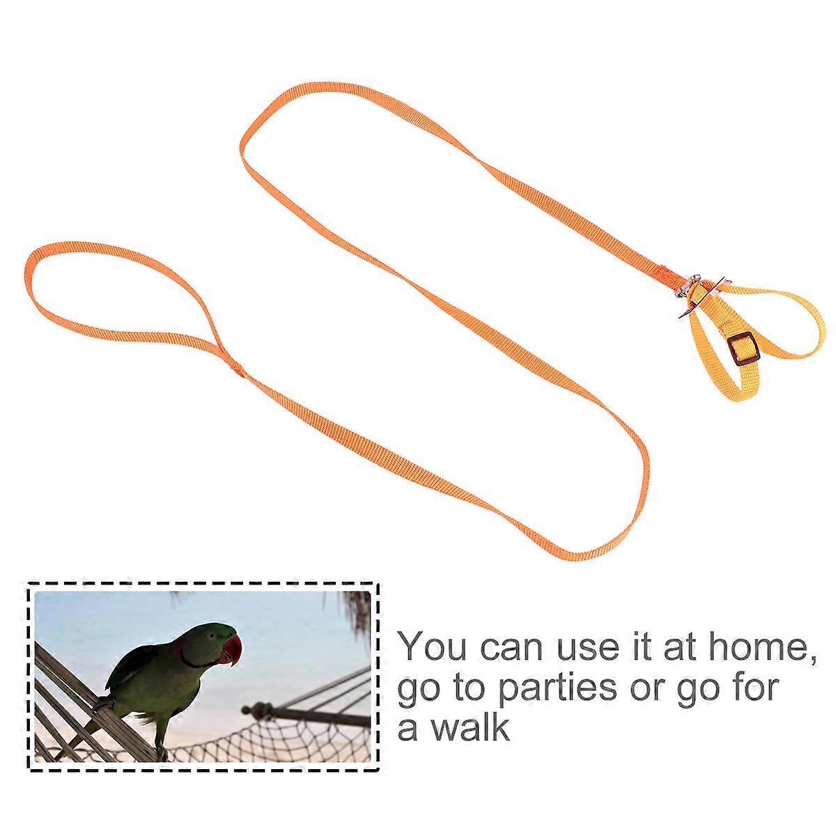 Pet Pulling Rope Hamster Turtle Pulling Rope for Home Use 1Pcs Leash