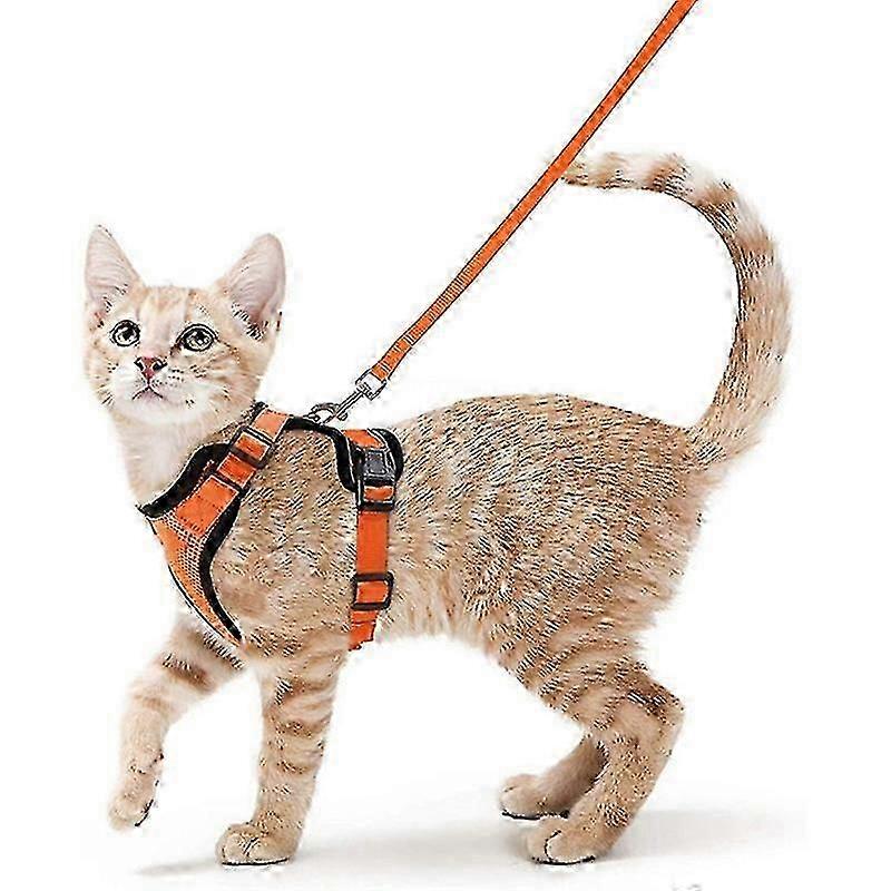 Cat Harness and Leash for Walking Escape Proof, Adjustable Harness for Cats