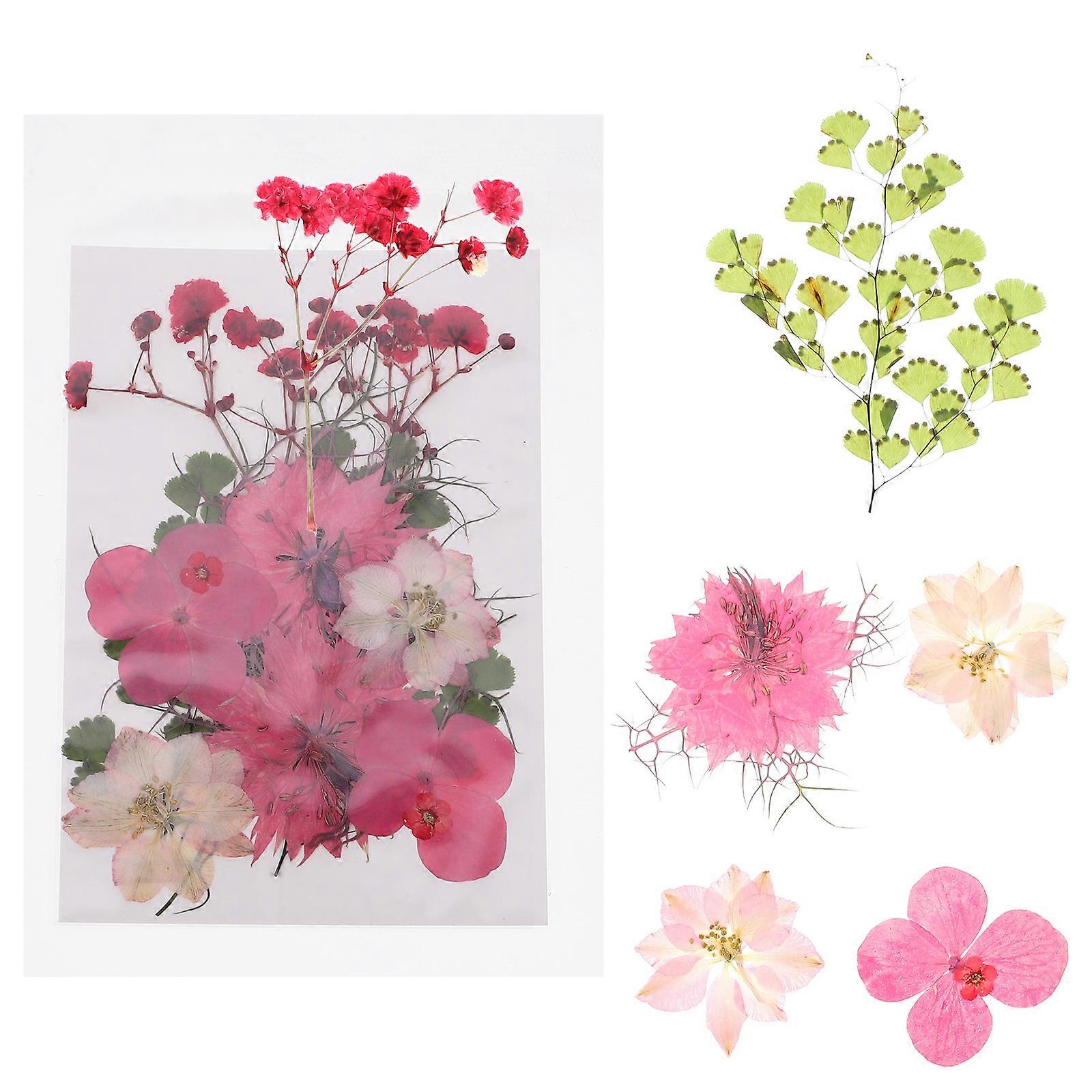 DIY Flower Pressed Dried Flower Materials for Decoration 30Pcs Set