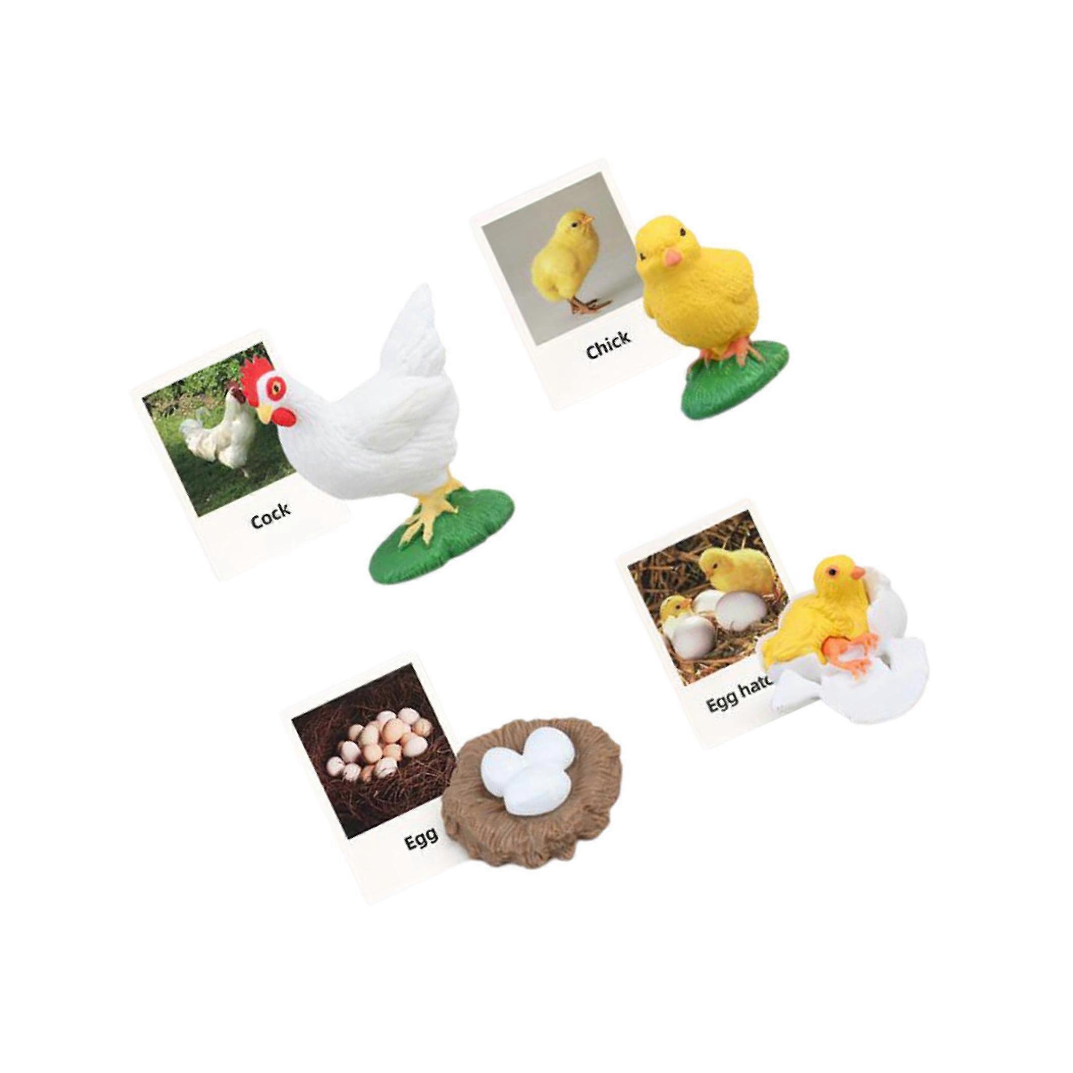 Educational Realistic Life Cycle Figurines Toy for Party Favors Fun and Interactive