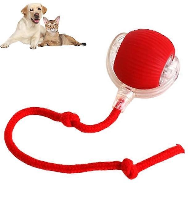 2x5x7mm x LED Bulb, 150pcs Rectangular Clear LED for Electronic Component Indicator, White