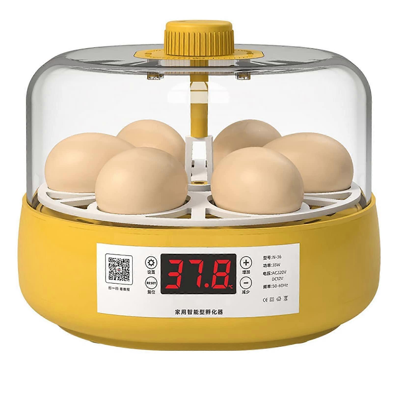 6 Eggs Automatic Egg Incubator with Digital Temperature Control and Clear Viewing Window