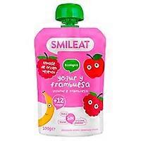 Organic yogurt and raspberry pouch 9m+ 100 g