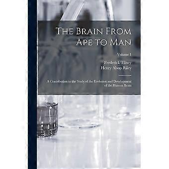The brain from ape to man a contribution to the study of the evolution and development of the human brain volume 1
