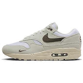 Nike Air Max 1 'Ironstone' DZ4494-100
