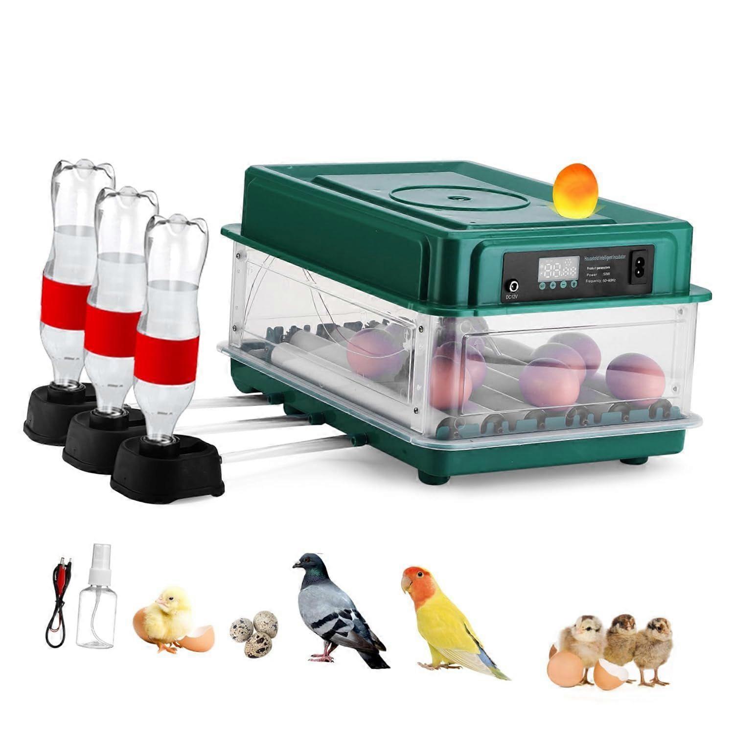 Automatic Incubator 30 Eggs Uk for Chicken Egg Hatching