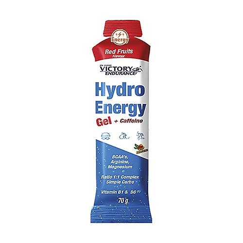 Hydro energy energizing gel with caffeine red fruits 24 units of 70g (Red Berries)