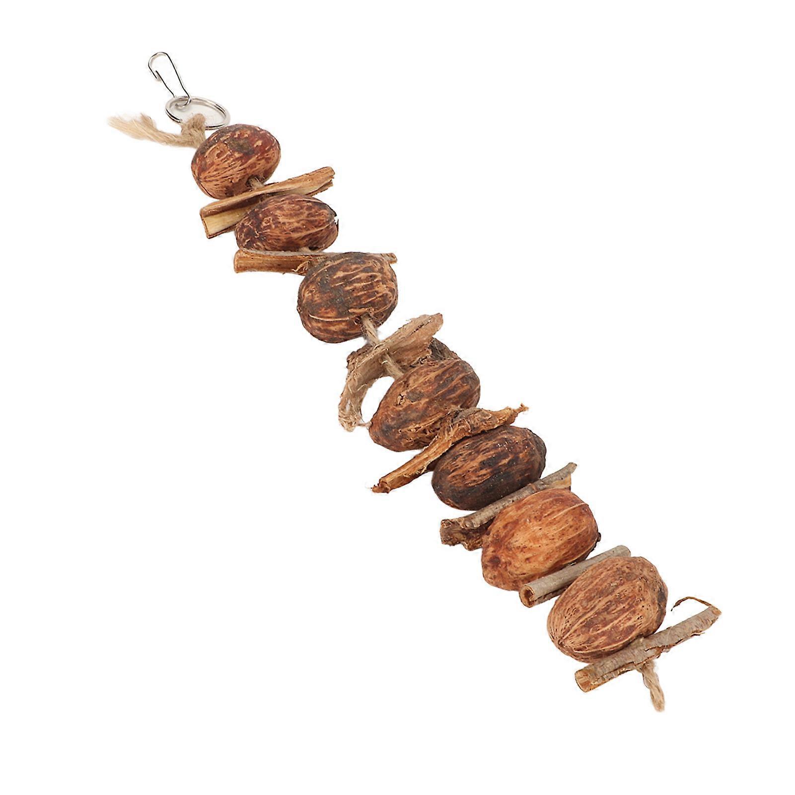 Natural Nuts Parrot Toy with Bark Chewing String for Small Birds