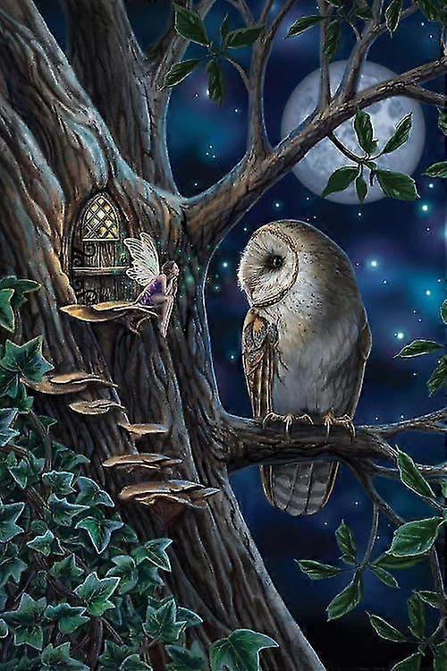 Fairy Tale Full 5d Diy Diamond Painting Moonnight Scene Art Cross Stitch Rhinestone Mosaic