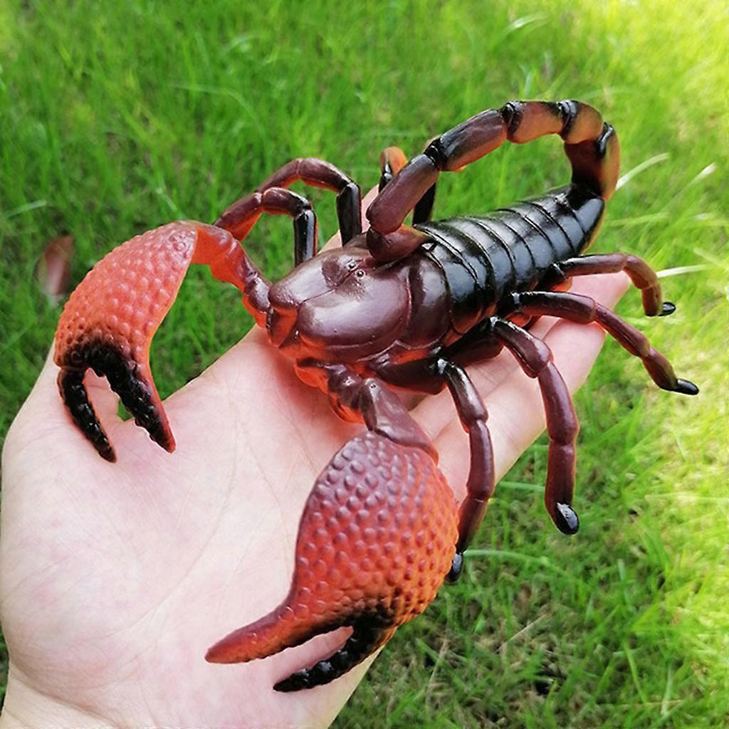 Creepy Lifelike Fake Spiders Cricket Ladybug Grasshoppe Insect Simulation Model