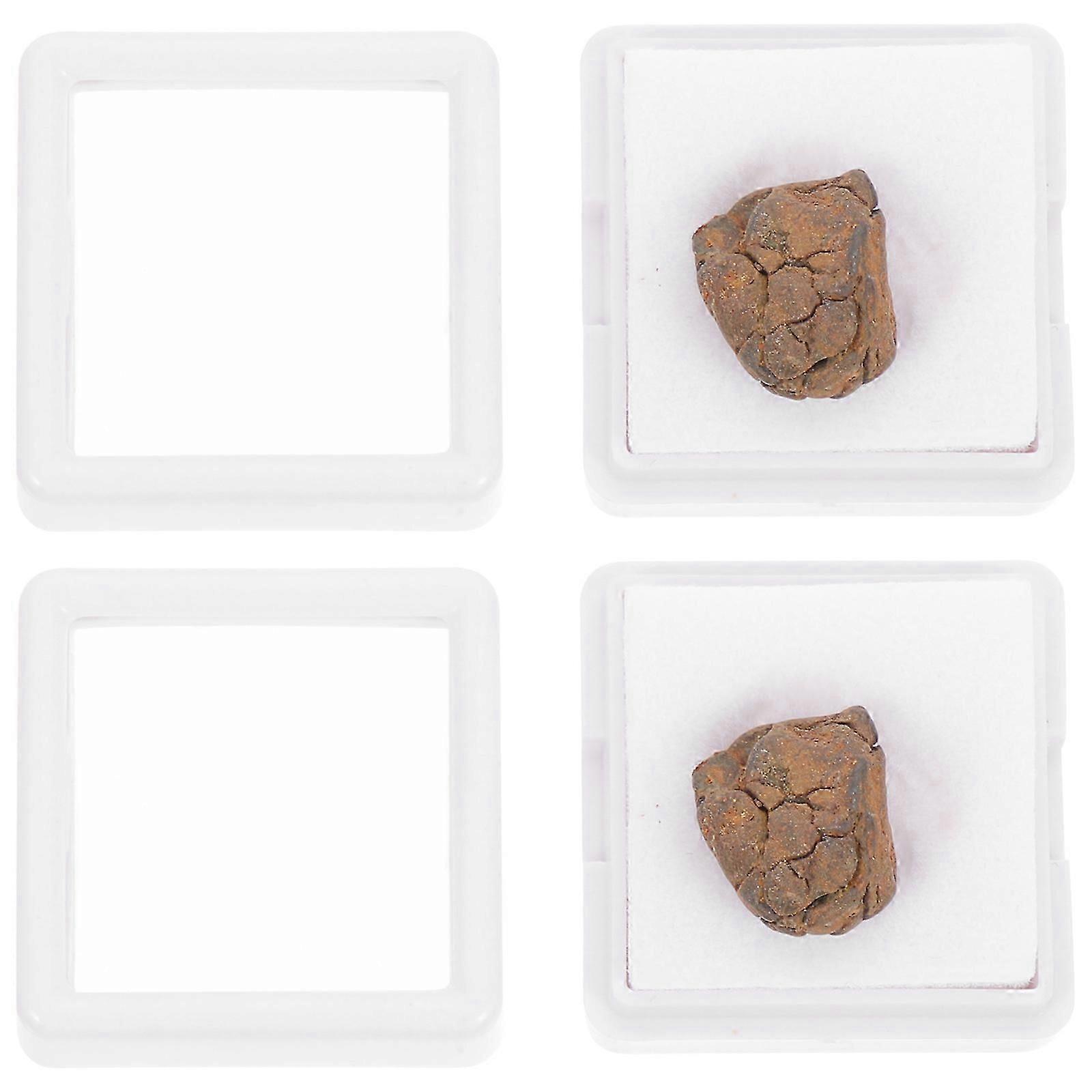 2pcs Lithosiderite Adornment Meteorite Ornament Classroom Teaching Specimen