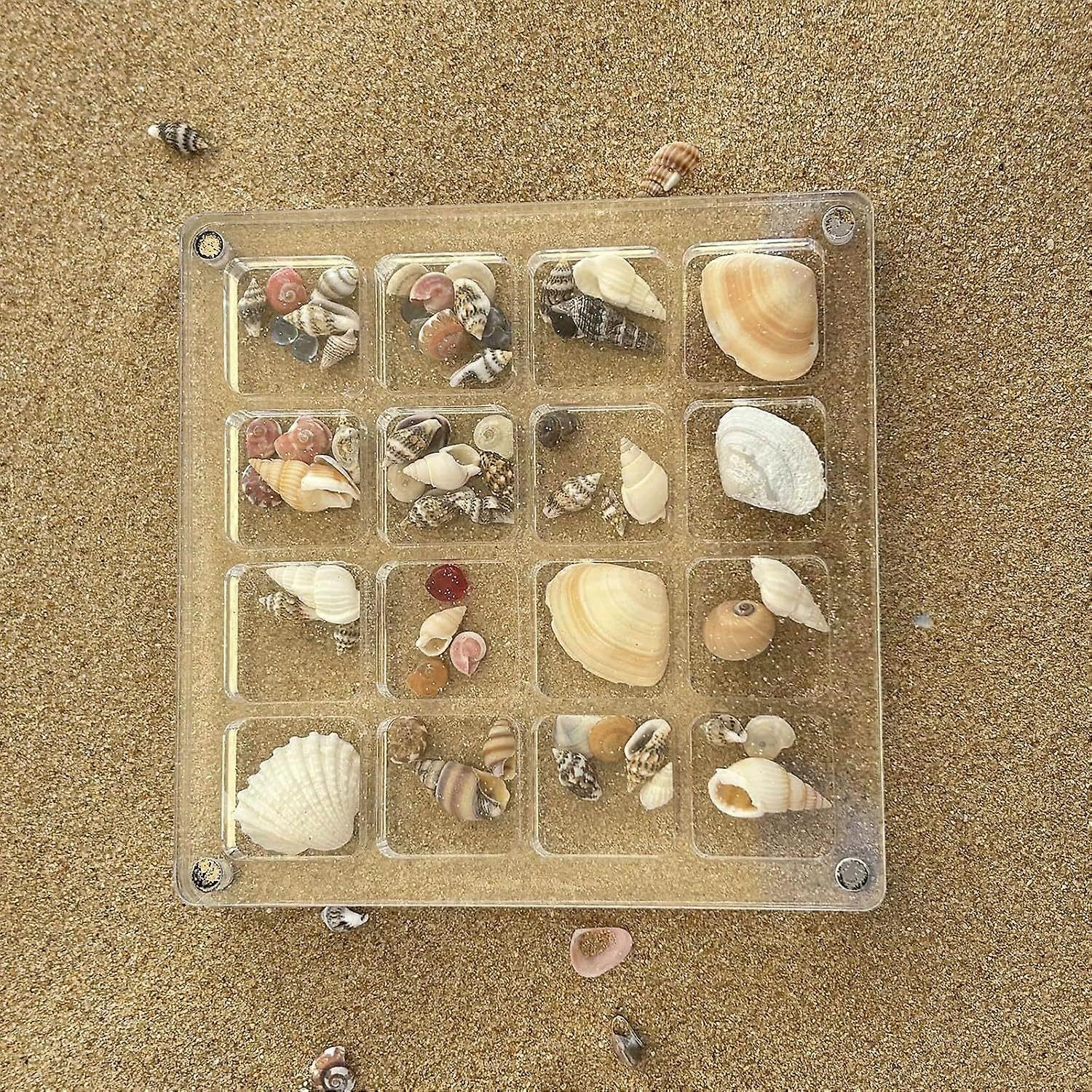 Clear Seashell Display Box: Acrylic 16-Grid Organizer with Magnetic Closure - Case for Shell Collections & Gemstone Displays - Beach Coastal Decor