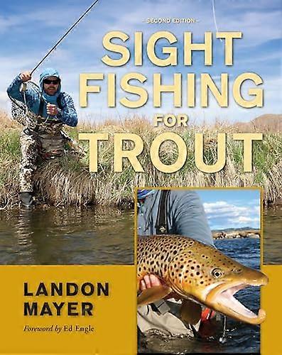 Sight Fishing for Trout