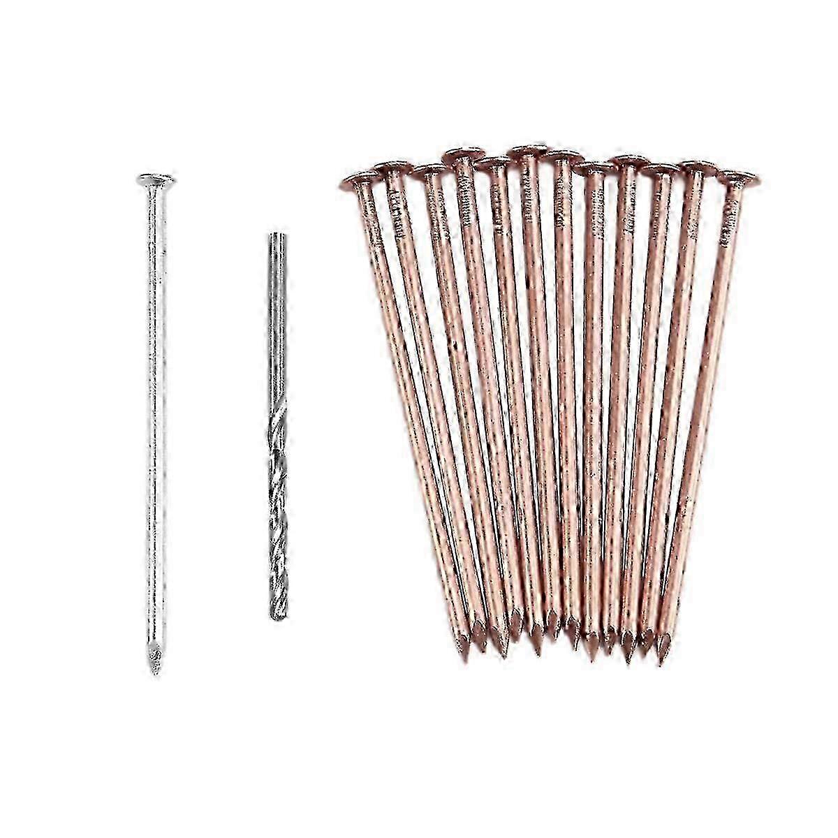 Copper Nails Kit to Killing Trees,3.5 Inch Pure Copper Nails Bulk