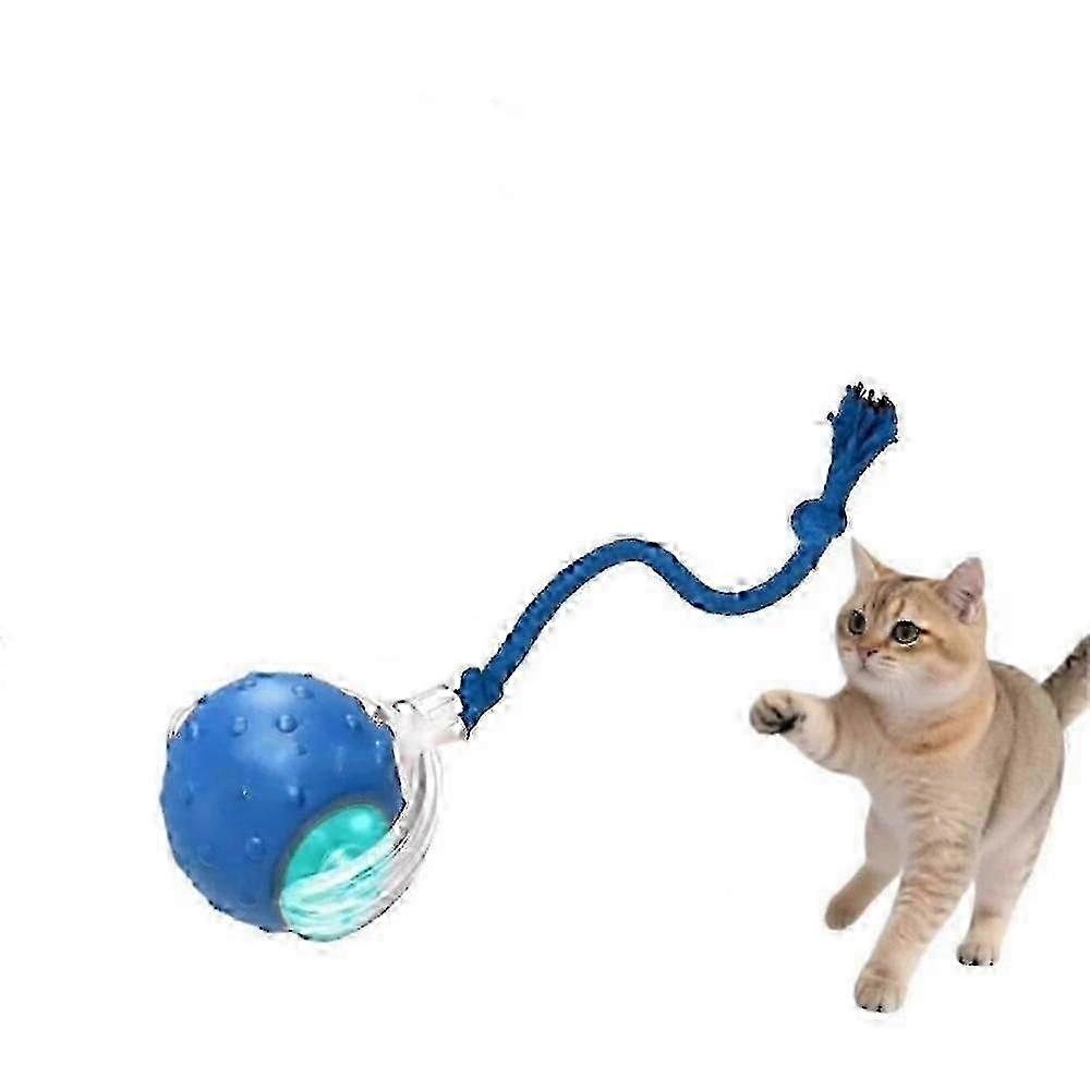 Tiny Fetch Dog Toy,Tinyfetch Interactive Dog Cat Toys Balls,Fast Moving Ball