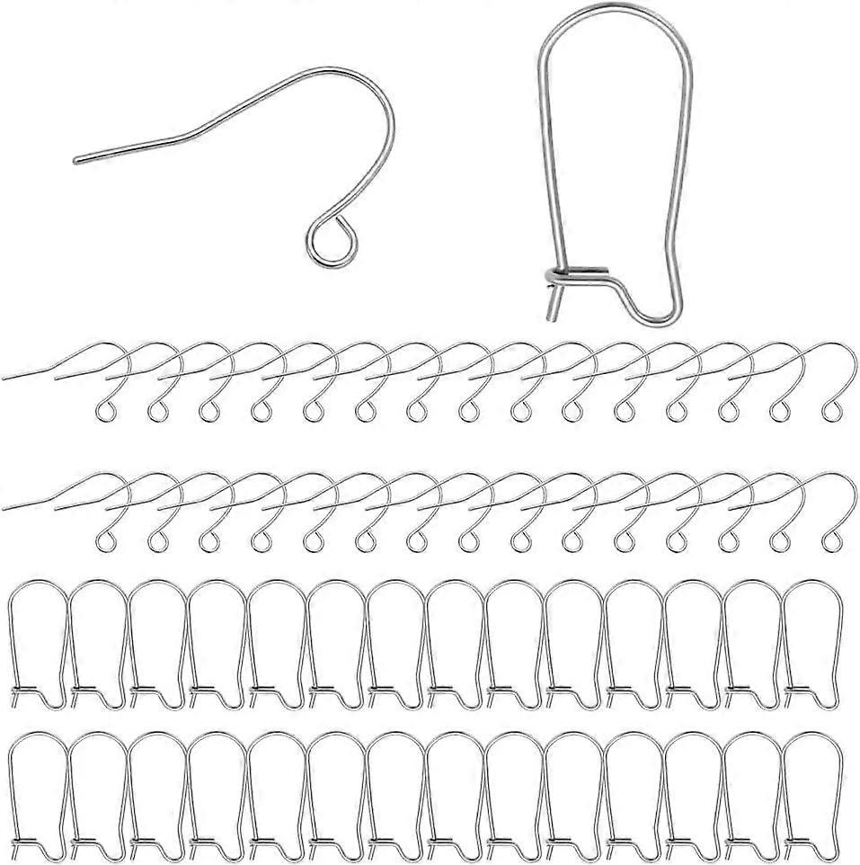 200Pcs 2 Styles 304 Stainless Steel Ear Wire Hooks Earring Hooks Dangle Earwire with Horizontal Loop Fish Hook for DIY Earrings Jewelry Making Finding