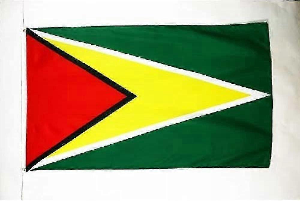 Guyanas flagga Qi 0334