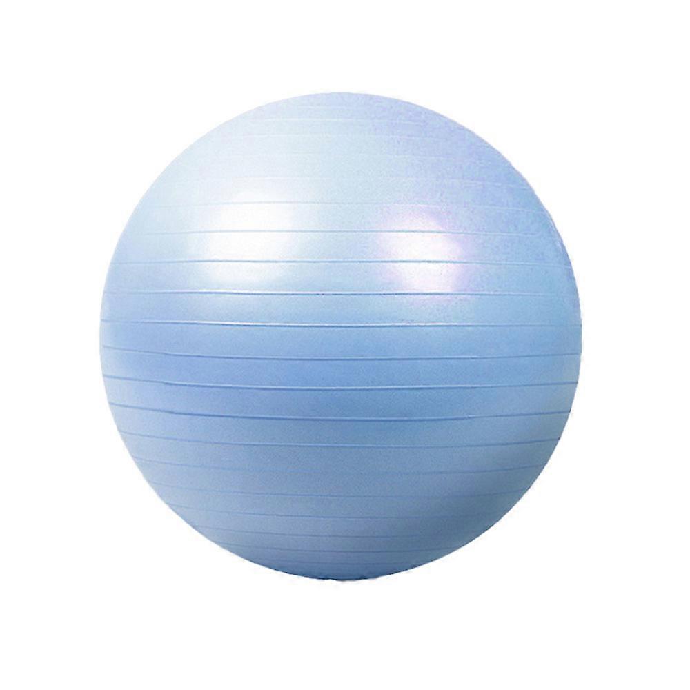 Sporting Goods > Exercise & Fitness > Exercise Balls