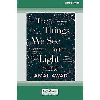 The things we see in the light 16pt large print edition