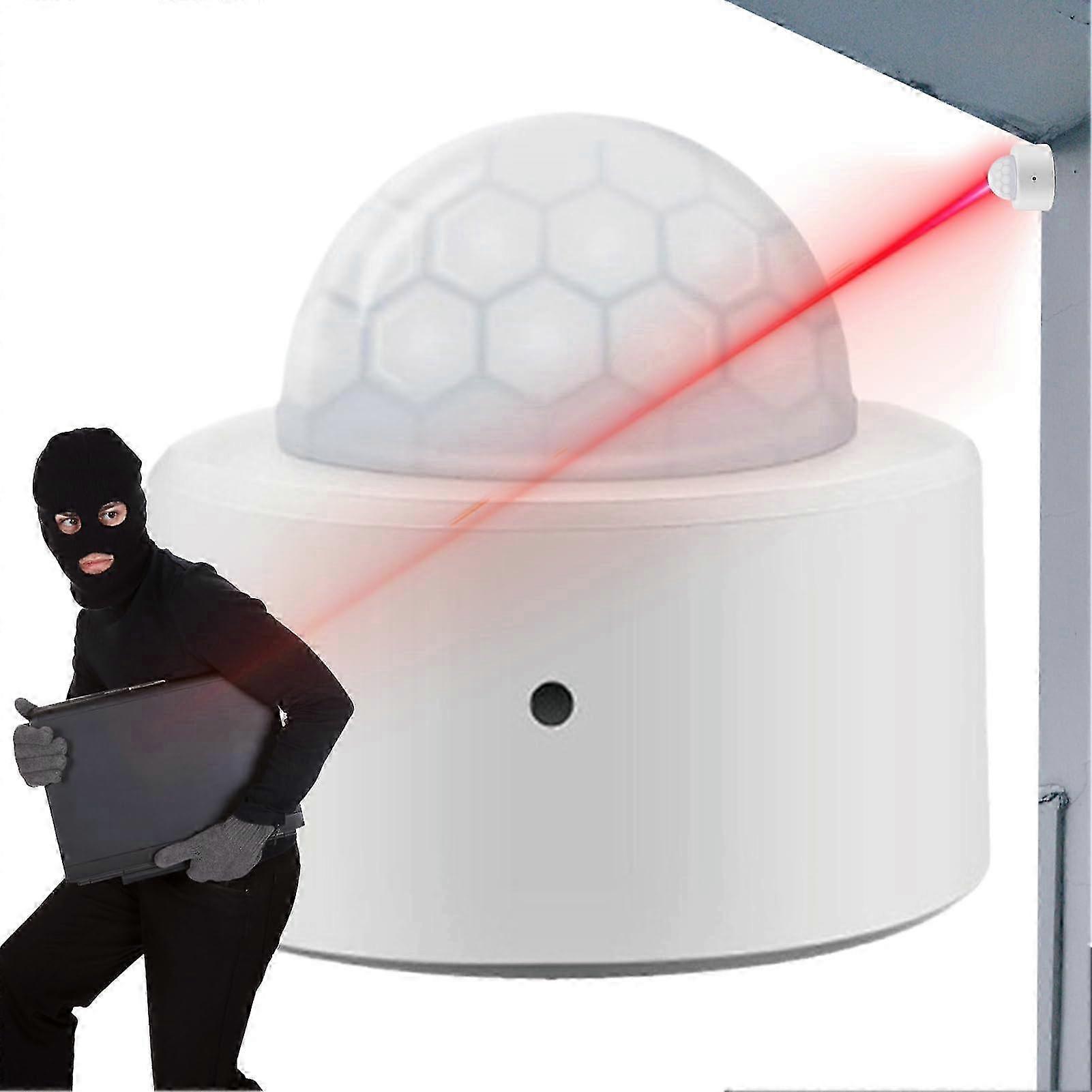 Outdoor Indoor Motion Sensor Automatic Security Sensor for Terrace Garden Use
