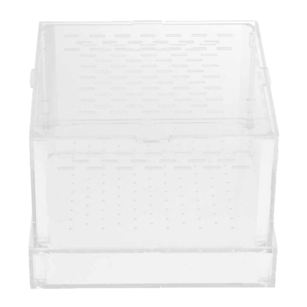 Reptile Plastic Vivarium Snake Tortoise