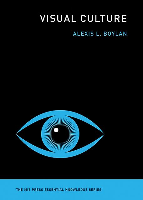 Visual Culture by Alexis L. Boylan Paperback