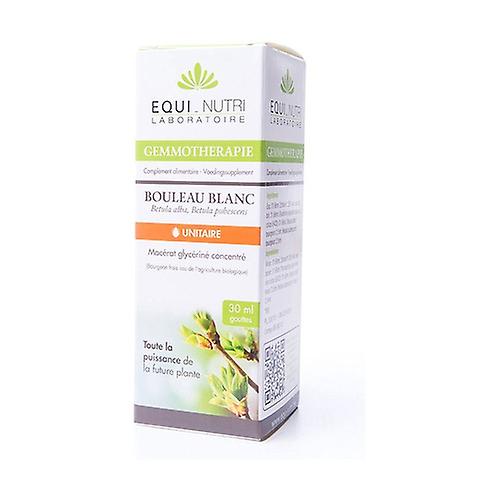 Organic White Birch 30 ml